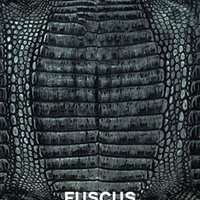fuscus periodico